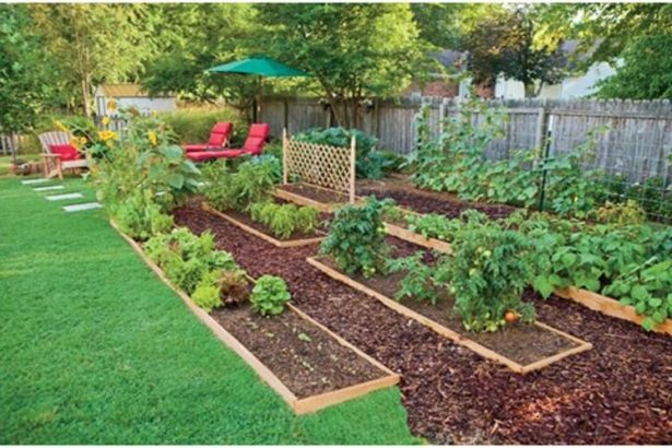 Use Edible Landscaping