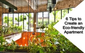 6 Tips to Create an Eco-friendly Apartment