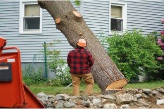 Tree Trimming