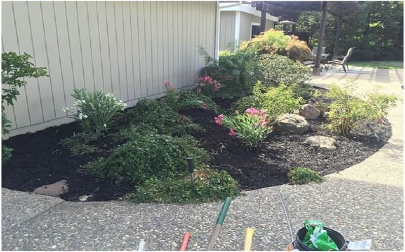 Landscape Design