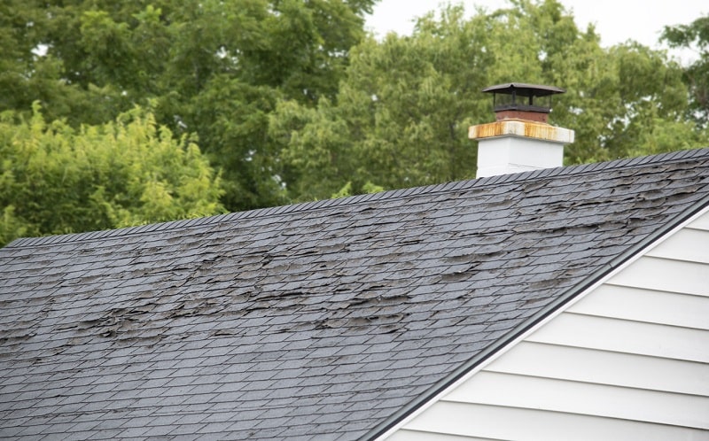 New Roof