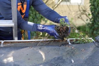Gutter-Cleaning