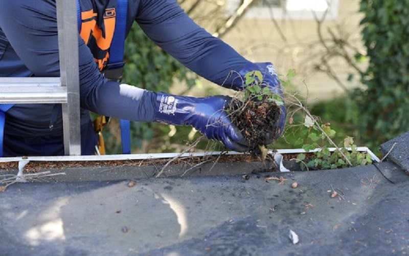 Gutter-Cleaning