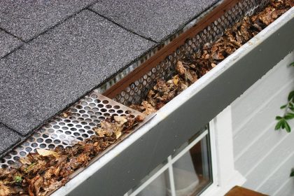 Gutter Guards