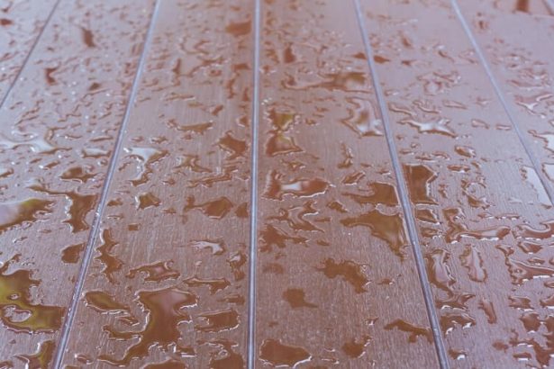What Are the Best Waterproof Flooring Options
