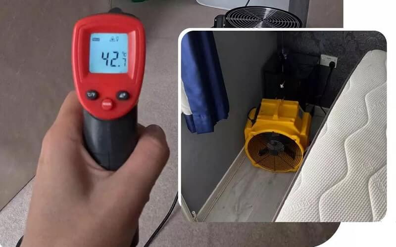 Heat Treatment for Bed Bugs