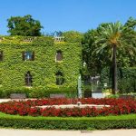 Landscaping Tips For A Beautiful Garden