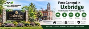 Uxbridge-pest-control